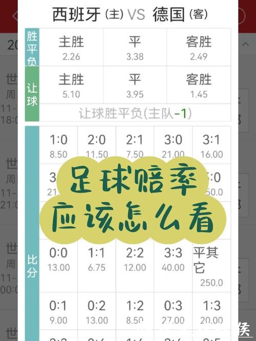 世界杯投注官网：最新盘口与赔率深度剖析